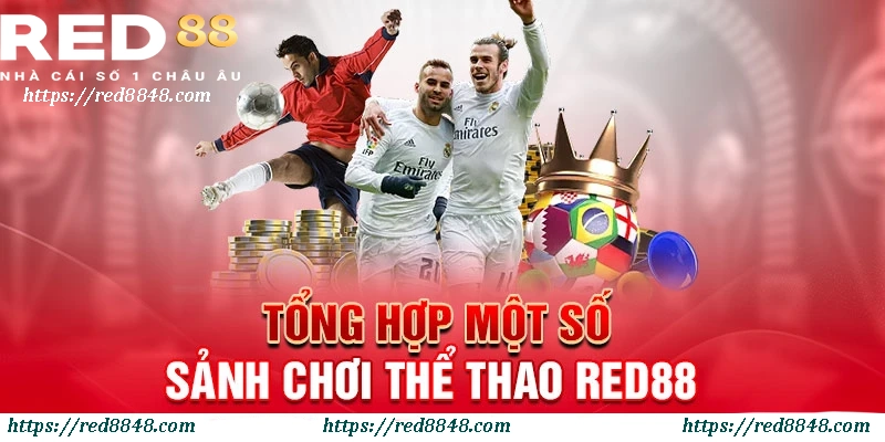 Các bộ môn thể thao phổ biến tại RED88