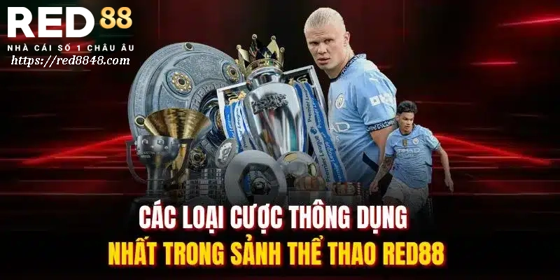 Các loại kèo cá cược tại RED88